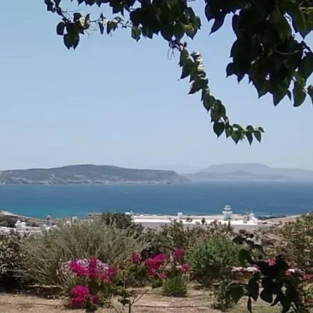 Stella's Koufonisia